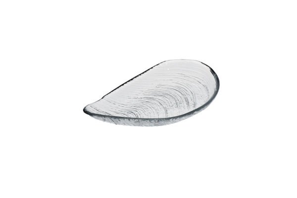 Auster CLEAR