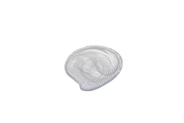 Clamocs ALABASTER WHITE