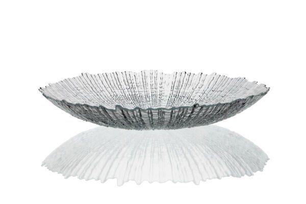 Focus CLEAR 40,5cm