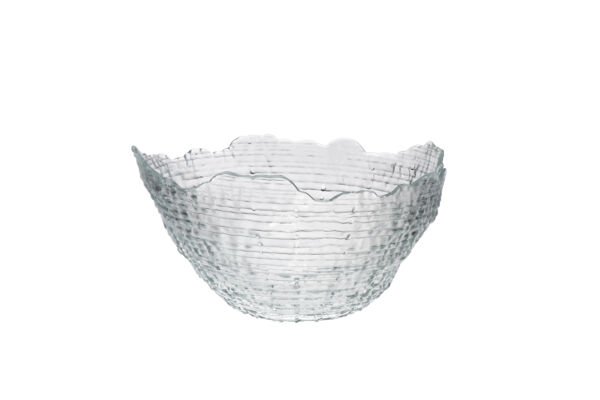 Sea urchin CLEAR Cam Kase 28*14 cm